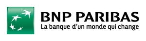 logo bnp300